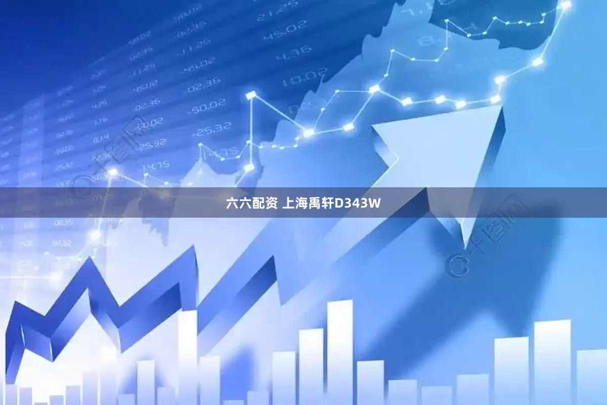 六六配资 上海禹轩D343W